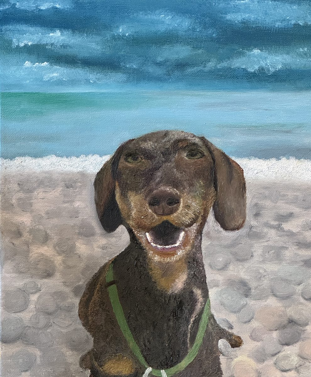 Barney, oil artwork by Annelise Hill
