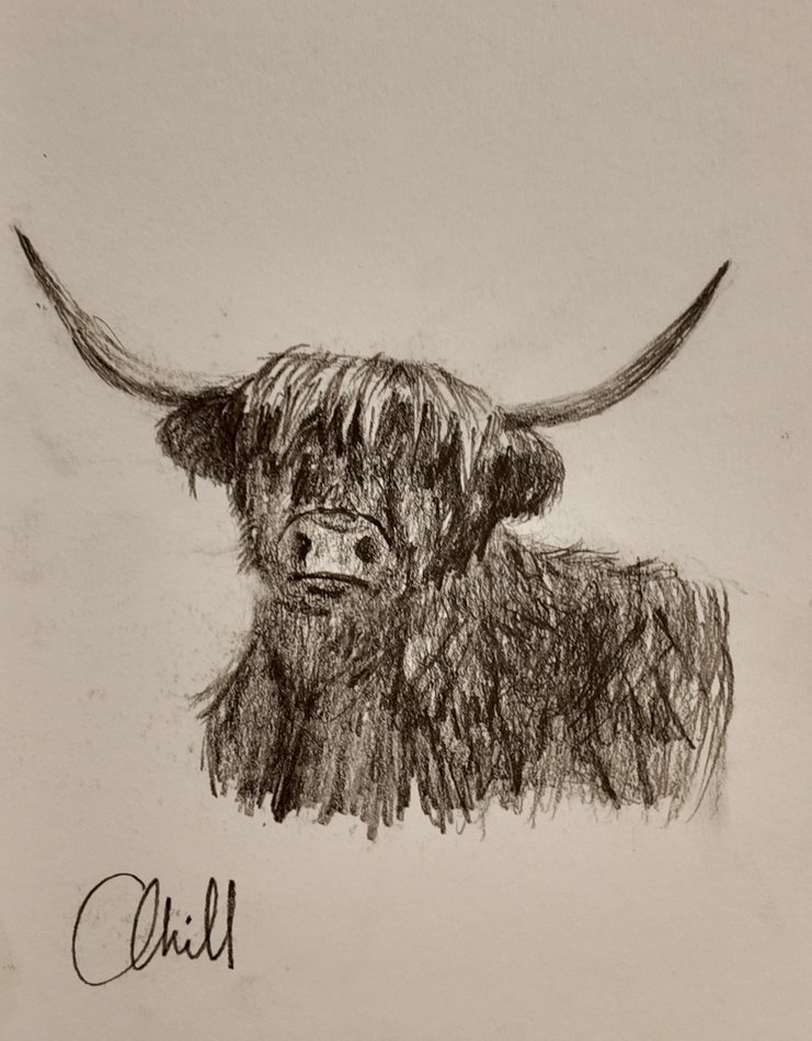 Bertie, graphite artwork by Annelise Hill