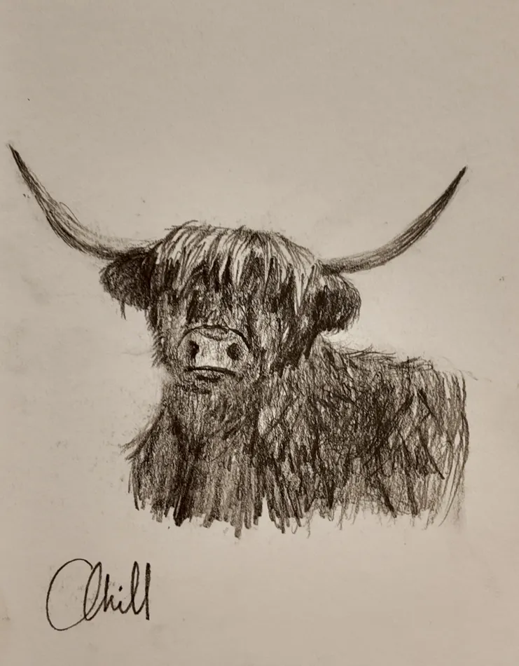 Bertie, graphite artwork by Annelise Hill