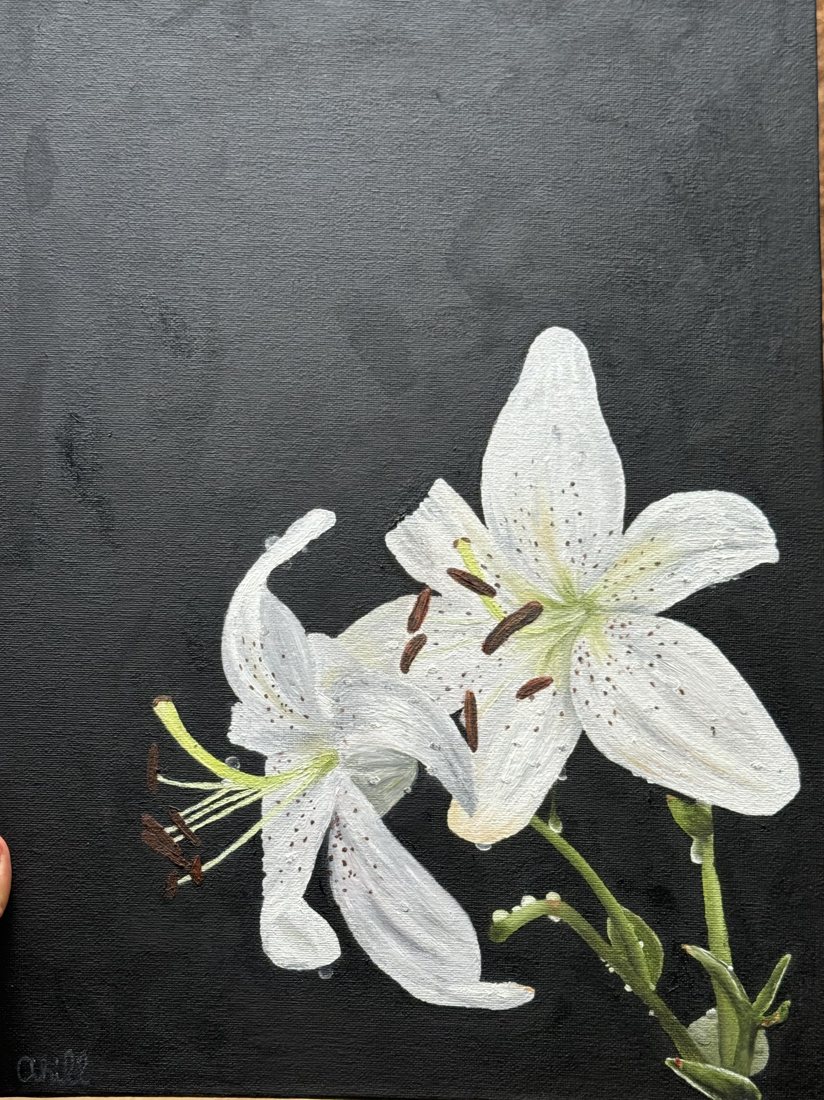 Lilies, oil artwork by Annelise Hill