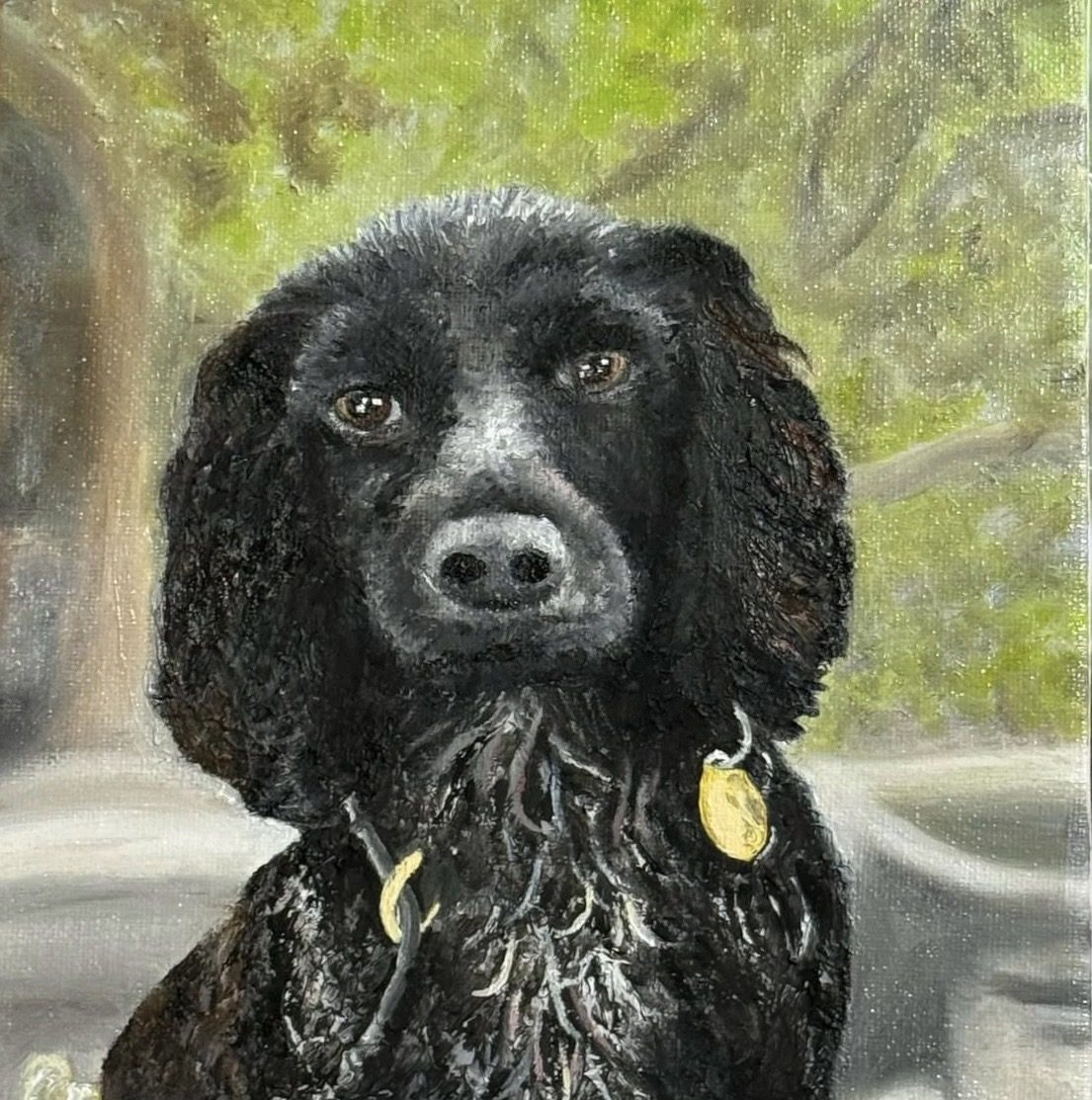 Monty, oil artwork by Annelise Hill
