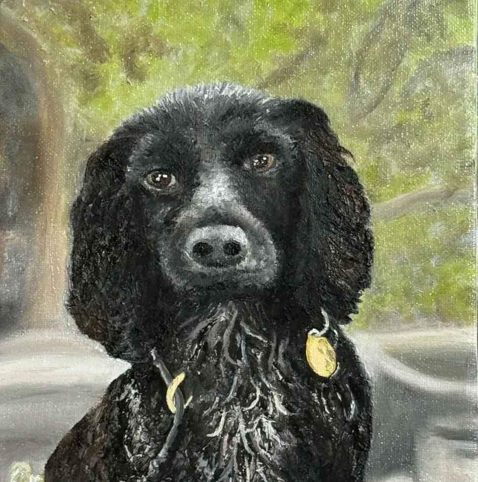 Monty, oil artwork by Annelise Hill